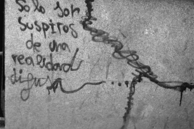 la realidad - isra garcía