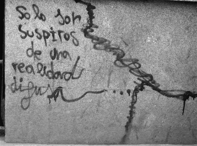 real - isragarcia la realidad - isra garcía - la visión del mundo