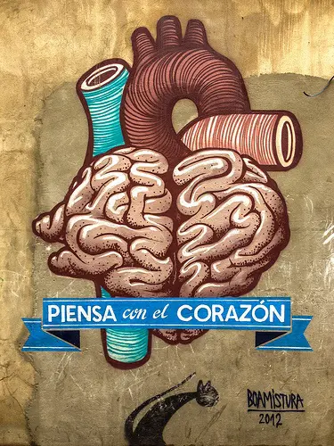 cómo conectar con la vida