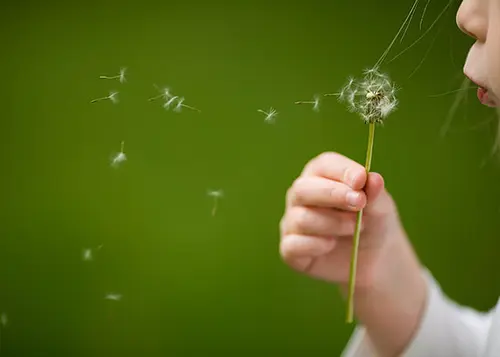 qué desaría haber sabido antes de empezar a usar social media