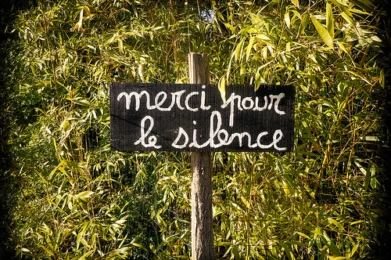 Experimento 20 dias en silencio