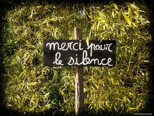 Experimento 20 dias en silencio