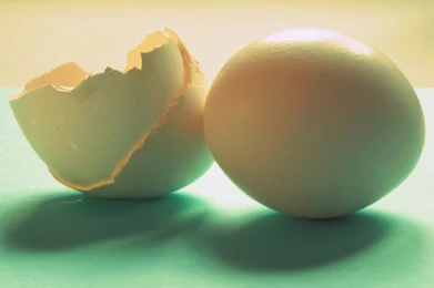 como dibujar el mapa primer trabajo