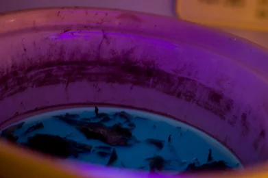 ayahuasca, el viaje