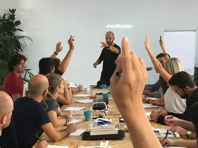 habilidades núcleo stand out program
