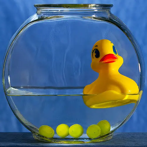 lograr resultados digitales