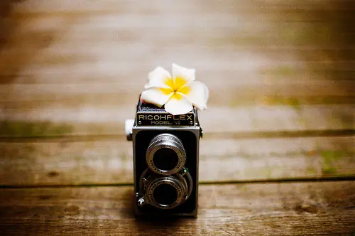 modo marketing encendido