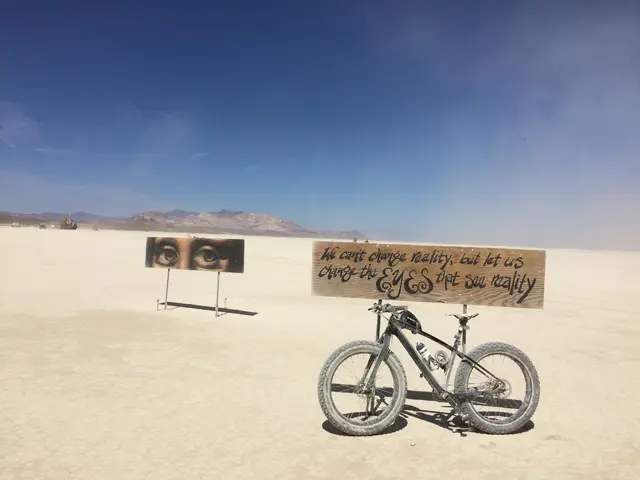 el experimento de los 40 días