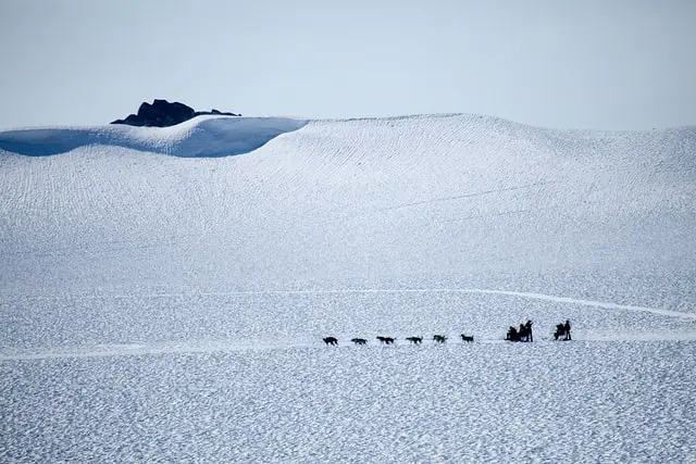 El arte de dar un paso al frente y toma ala iniciativa