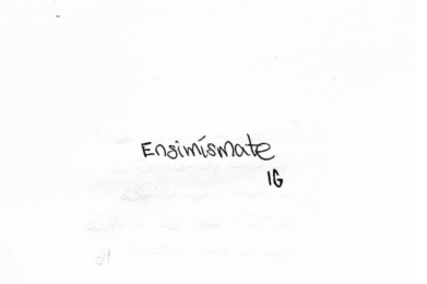 Cómo vivir ensimismado, el ensimismamiento