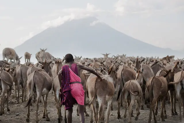 Cómo vivir el momento presente