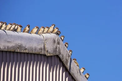 utiliza tu instinto de supervivencia...