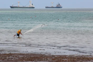 La resiliencia como la mejor habilidad para sobreponerse al cambio...
