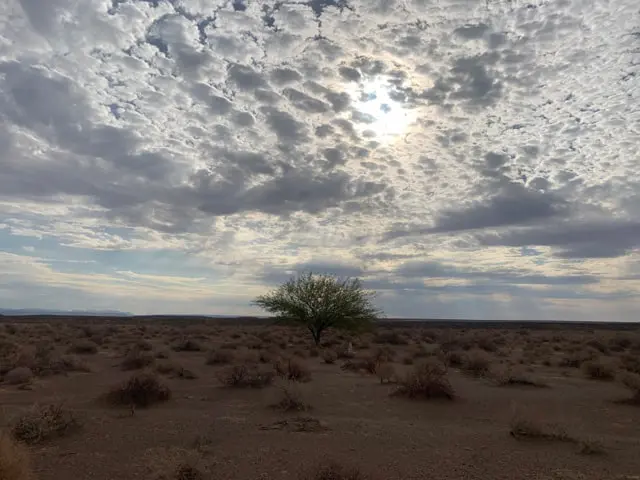 experiencia vital afrika burn - Isra García