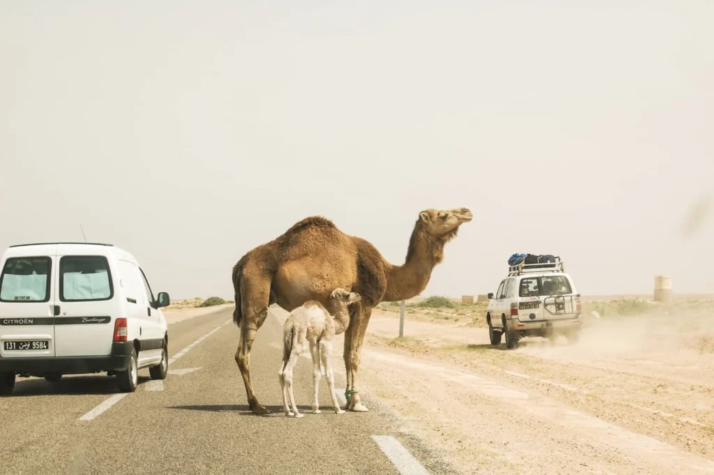 Experimento cero distracciones, cómo vivir mejor y con más productividad...