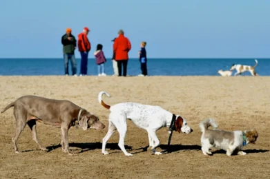 Si necesita sun mapa no estás creando tu propia vida