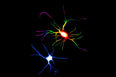 El impacto de los psicodélicos en la sociedad: psilocibina y LSD