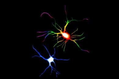 El impacto de los psicodélicos en la sociedad: psilocibina y LSD