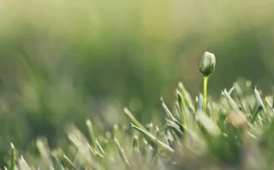 todo está bien, todo está en armonía