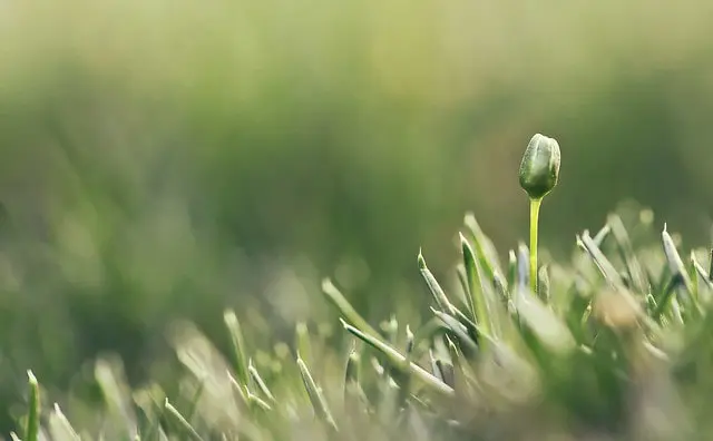 todo está bien, todo está en armonía