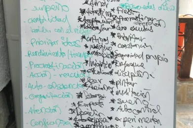 Crear y lanzar un proyecto