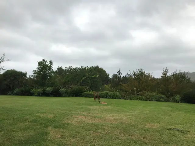 somos la medicina que lo cura todo