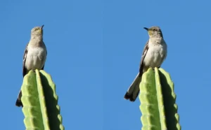 aunque no sientas que debas hacerlo, hazlo