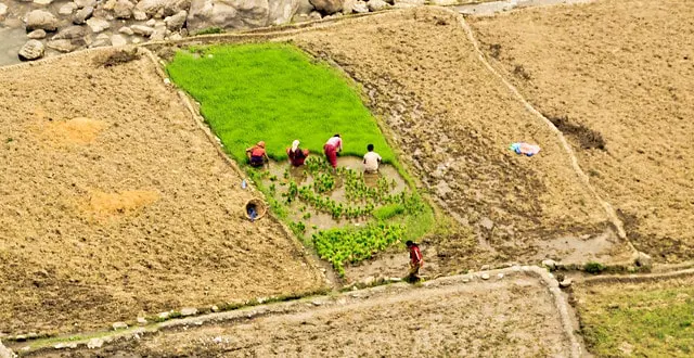 Ultraproductividad fácil