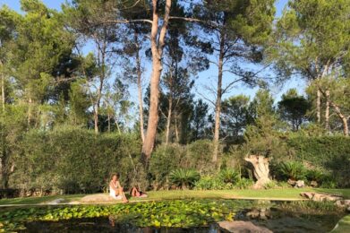 encuentro con el Sapo Bufo Alvarius - ceremonia 5MeO-DMT