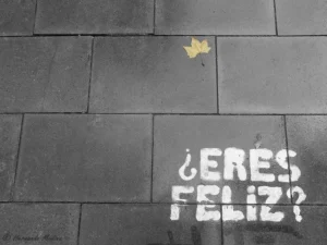 ser feliz ahora mismo es una trampa mortal