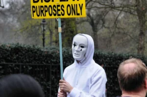 el propósito de la disciplina