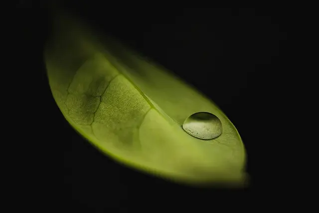 El santo grial del marketing: la tensión, la acción y el impacto positivo