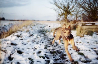 el alto coste de la especialización