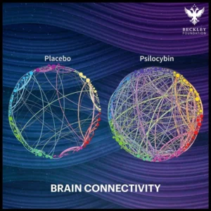 experimento macrodosis de psilocibina