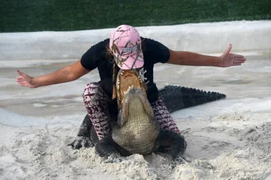 busca el miedo y encontrarás la paz.