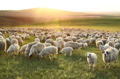 La gestión del tiempo se convierte en la gestión de la vida