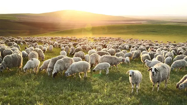 La gestión del tiempo se convierte en la gestión de la vida