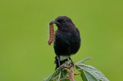 la fórmula del marketing: excelencia humana