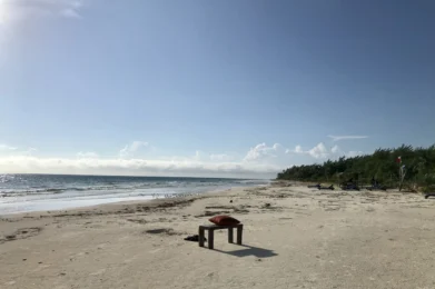 se llama vida y se llama amor