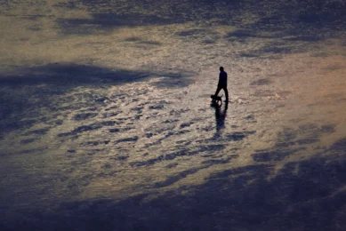 sigue luchando, contra el dolor, el sufrimiento