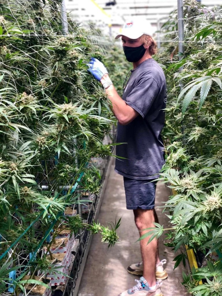 Entrevista a Woody Mooers