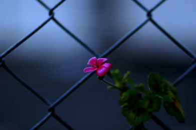 cómo encontrar tu centro