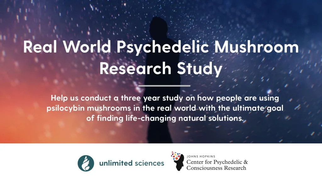 estudio sobre hongos psicodélicos