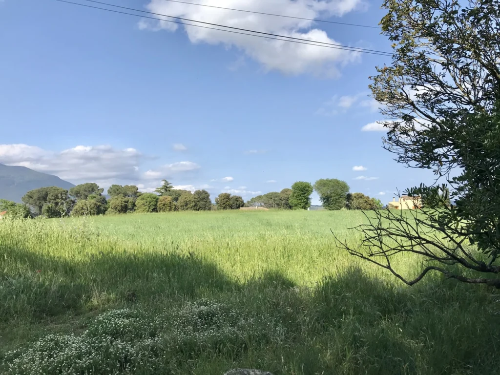 practicar la ecuanimidad e integrar la impermanencia en nuestras vidas