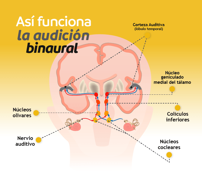 cómo funciona un sonido binaural