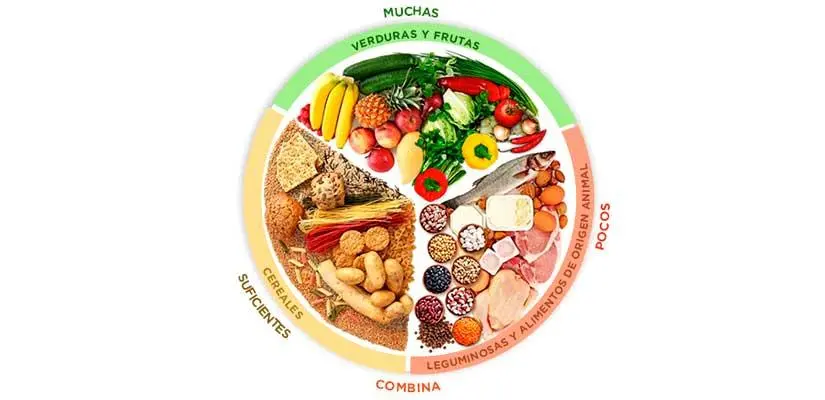 experimento plato único el plato del bien comer, cómo comer saludable y óptimo