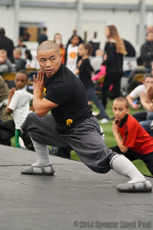 Shifu Yan Lei: Sabiduría Shaolin para el Mundo Moderno
