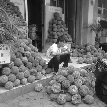 trabajar con colaboradores
