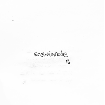 Cómo vivir ensimismado, el ensimismamiento