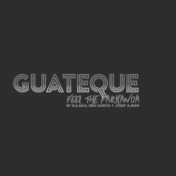 Guateque - los 11 principios